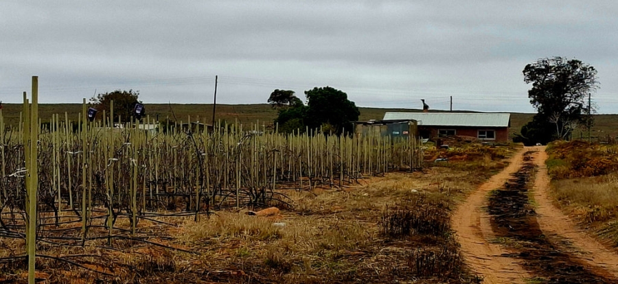 Commercial Property for Sale in Ebenezer Western Cape